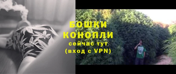 кокс Гусь-Хрустальный