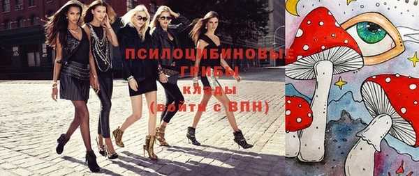 кокс Гусь-Хрустальный