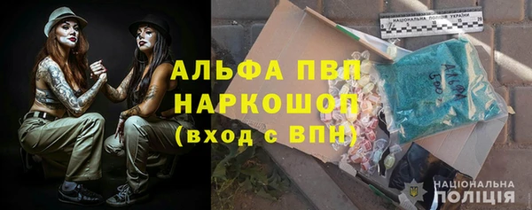 стафф Касимов