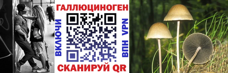 Псилоцибиновые грибы Psilocybe  MEGA маркетплейс  Грязовец 
